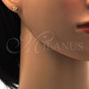 Arete Dormilona 02.271.0006.5 Acero Inoxidable, Diseño de Estrella, con Champan Zirconia Cubica, Pulido, Tono Dorado