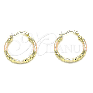 Argolla Pequeña 02.213.0251.25 Oro Laminado, Diamantado, Tres Tonos