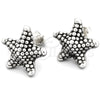 Arete Dormilona 02.395.0032 Plata Rodinada, Diseño de Estrella, Pulido, Tono Plateado