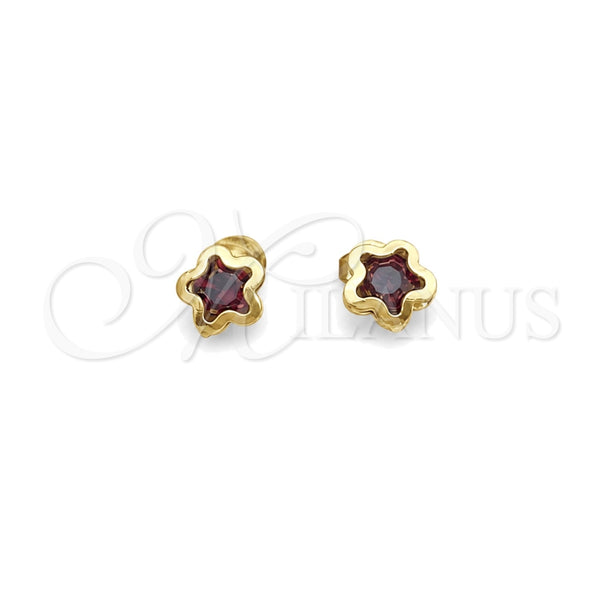 Arete Dormilona 02.02.0533.3 Oro Laminado, Diseño de Estrella, con Amatista Zirconia Cubica, Pulido, Tono Dorado