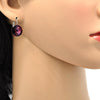 Arete Gancho Frances 02.239.0005.5 Rodio Laminado, con Cristales de Swarovski Amethyst, Pulido, Rodinado